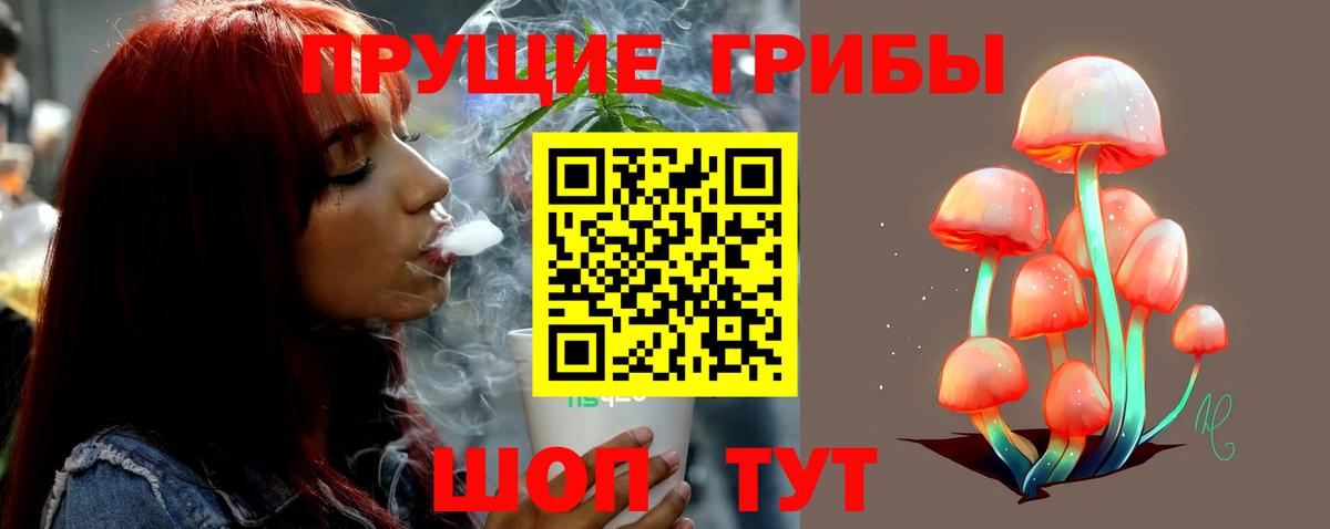 Псилоцибиновые грибы прущие грибы  Галлюциногенные грибы Psilocybe  Учалы  Вход с VPN 